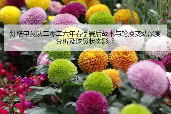 灯塔电竞队二零二六年春季赛后战术与轮换变动深度分析及球员状态影响