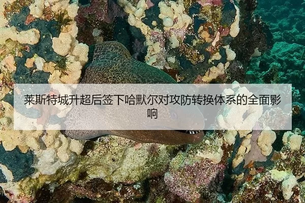 lai-si-te-cheng-sheng-chao-hou-qian-xia-ha-mo-er-dui-gong-fang-zhuan-huan-ti-xi-de-quan-mian-ying-xiang-2-874.jpg
